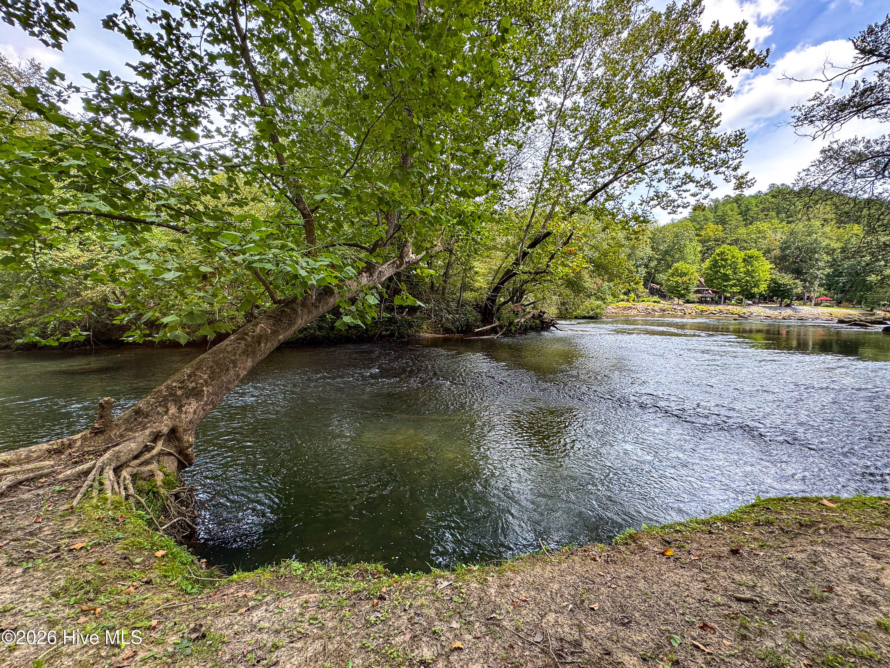 635 Brasstown View Road
