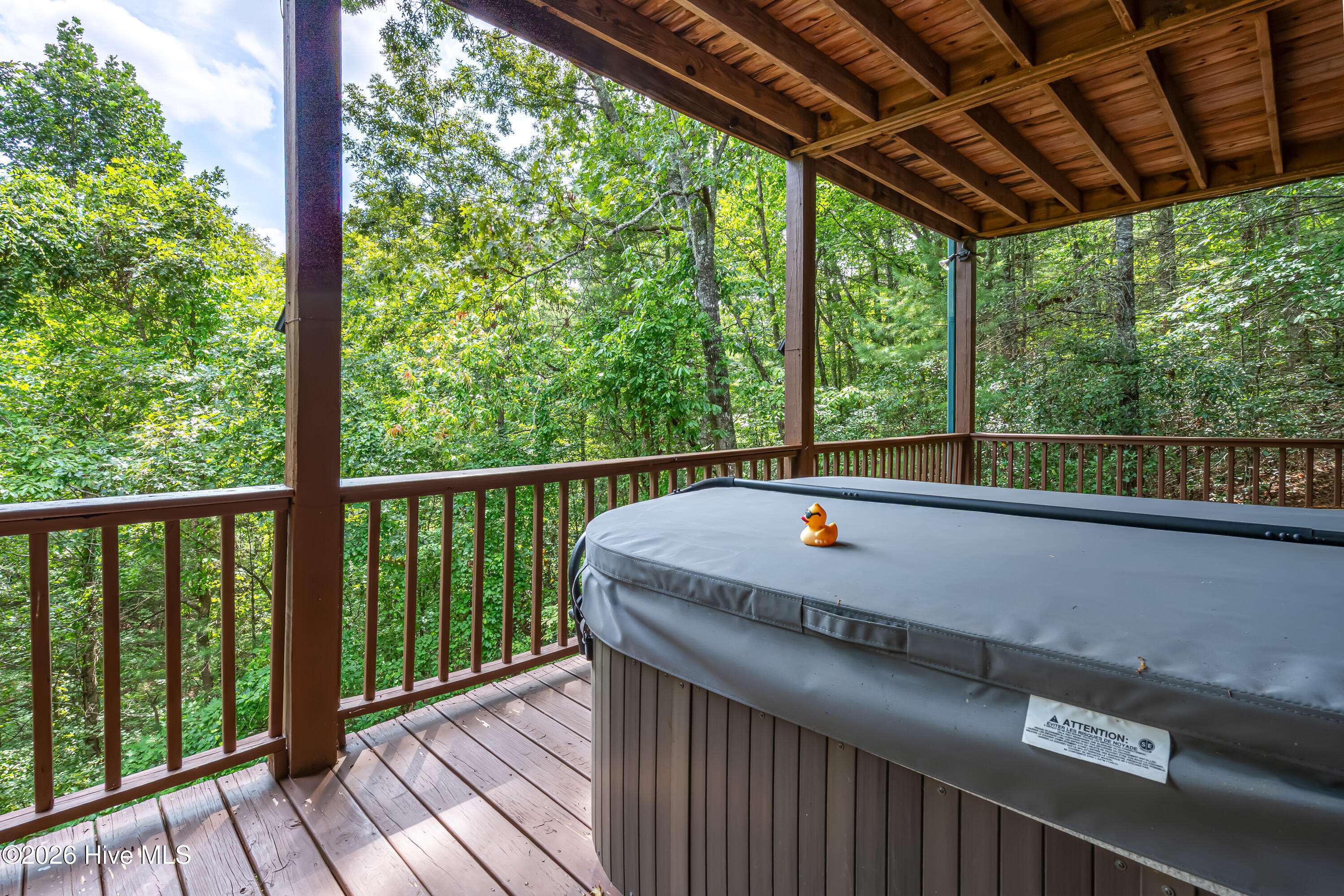 635 Brasstown View Road