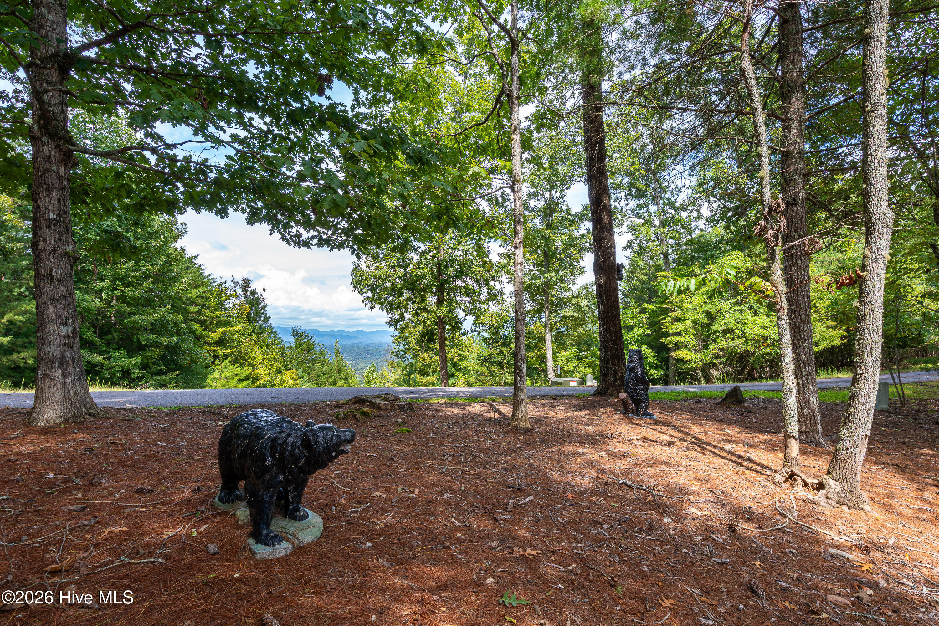 635 Brasstown View Road