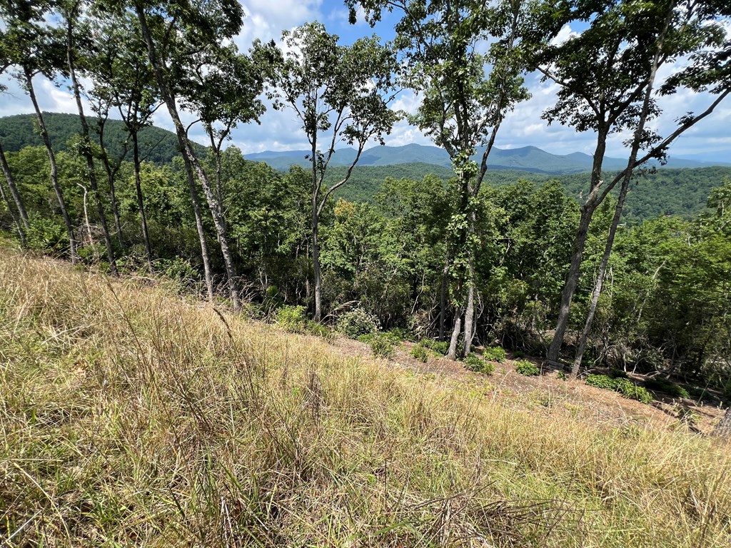 Lot 182 Skyline View Road