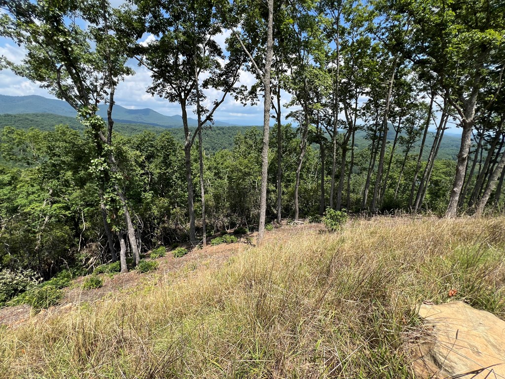 Lot 182 Skyline View Road