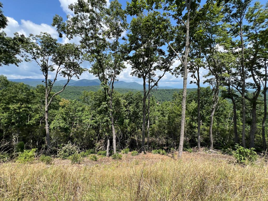 Lot 182 Skyline View Road