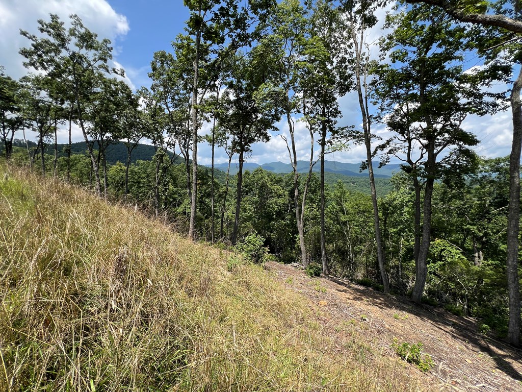 Lot 182 Skyline View Road