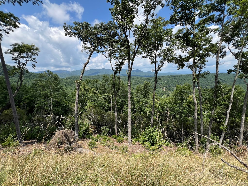 Lot 183 Skyline View Road