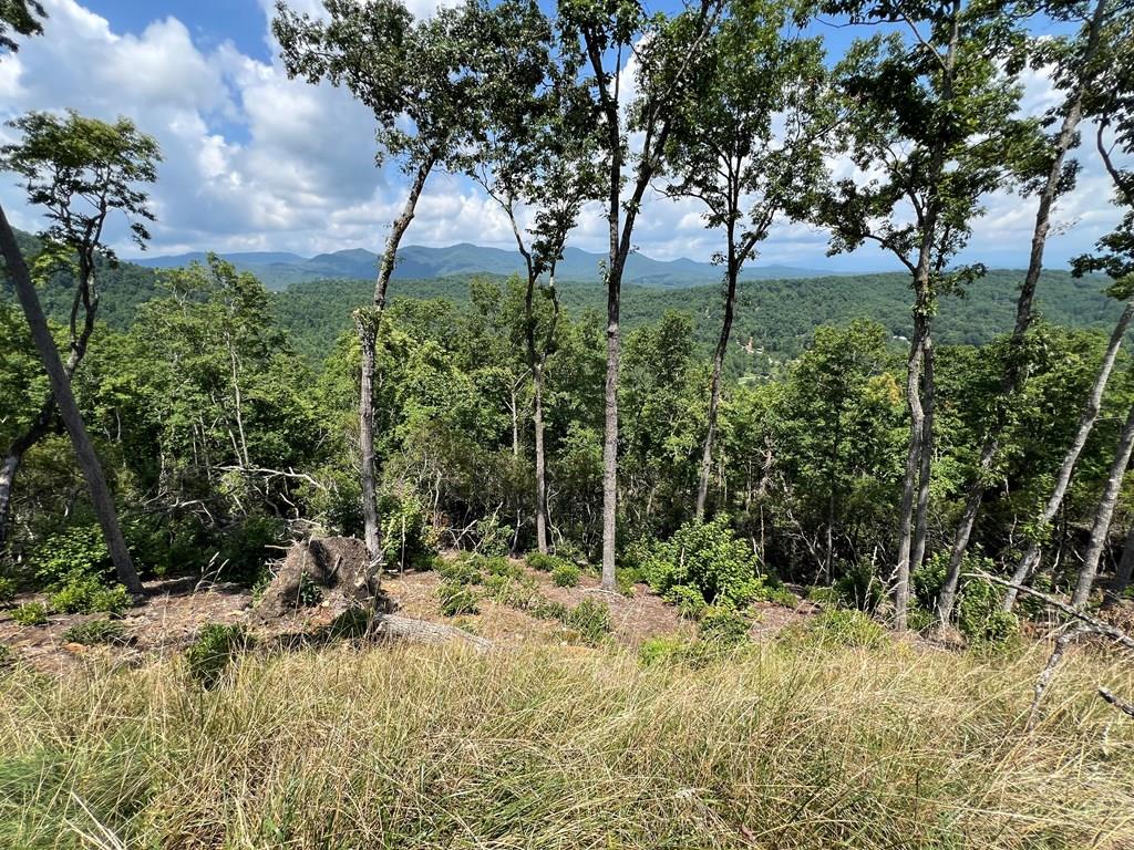 Lot 183 Skyline View Road