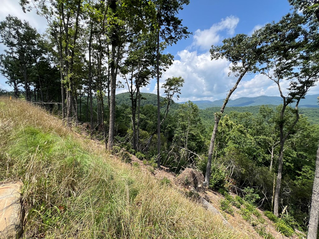 Lot 183 Skyline View Road