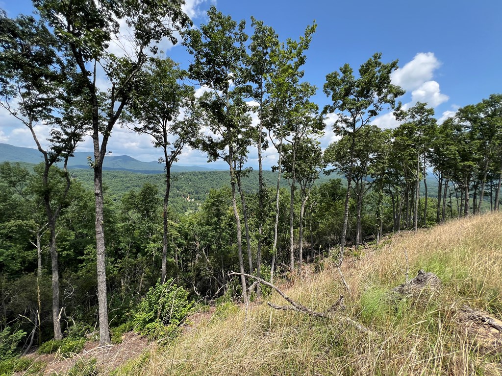 Lot 183 Skyline View Road