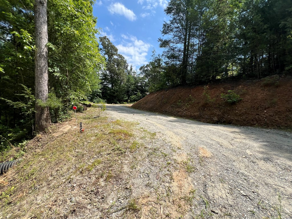 294 Pioneer Estates Road