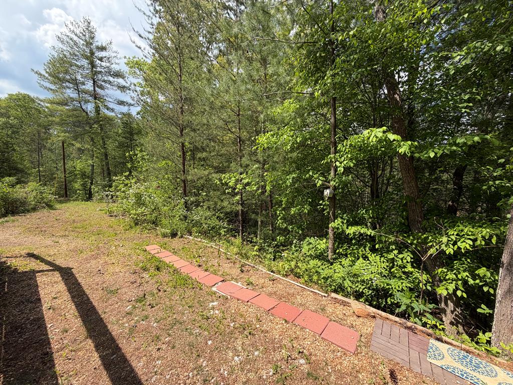 294 Pioneer Estates Road