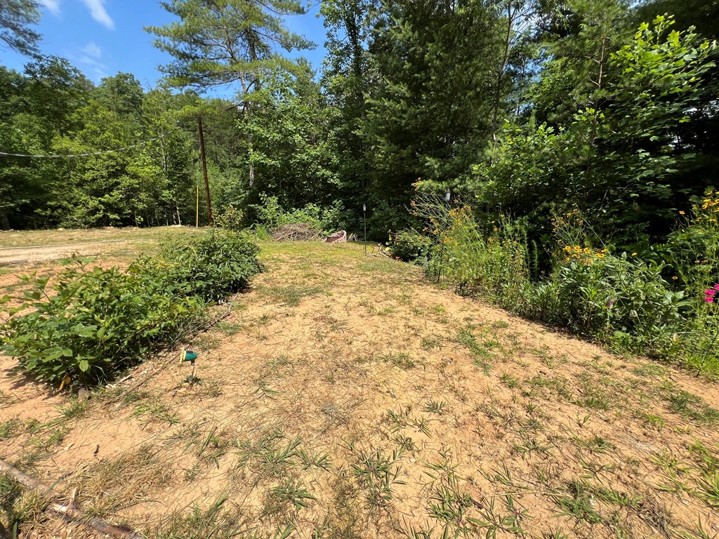 294 Pioneer Estates Road