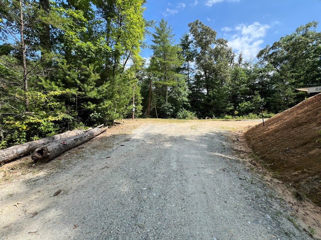 294 Pioneer Estates Road