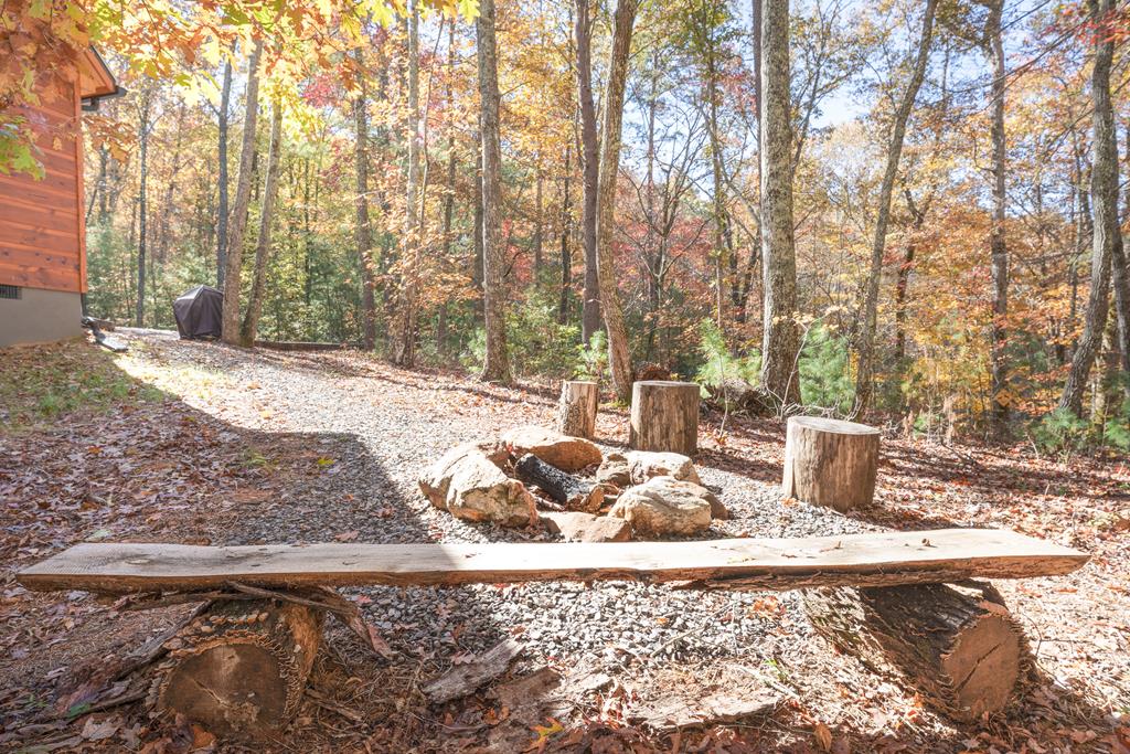 215 Confederate Circle