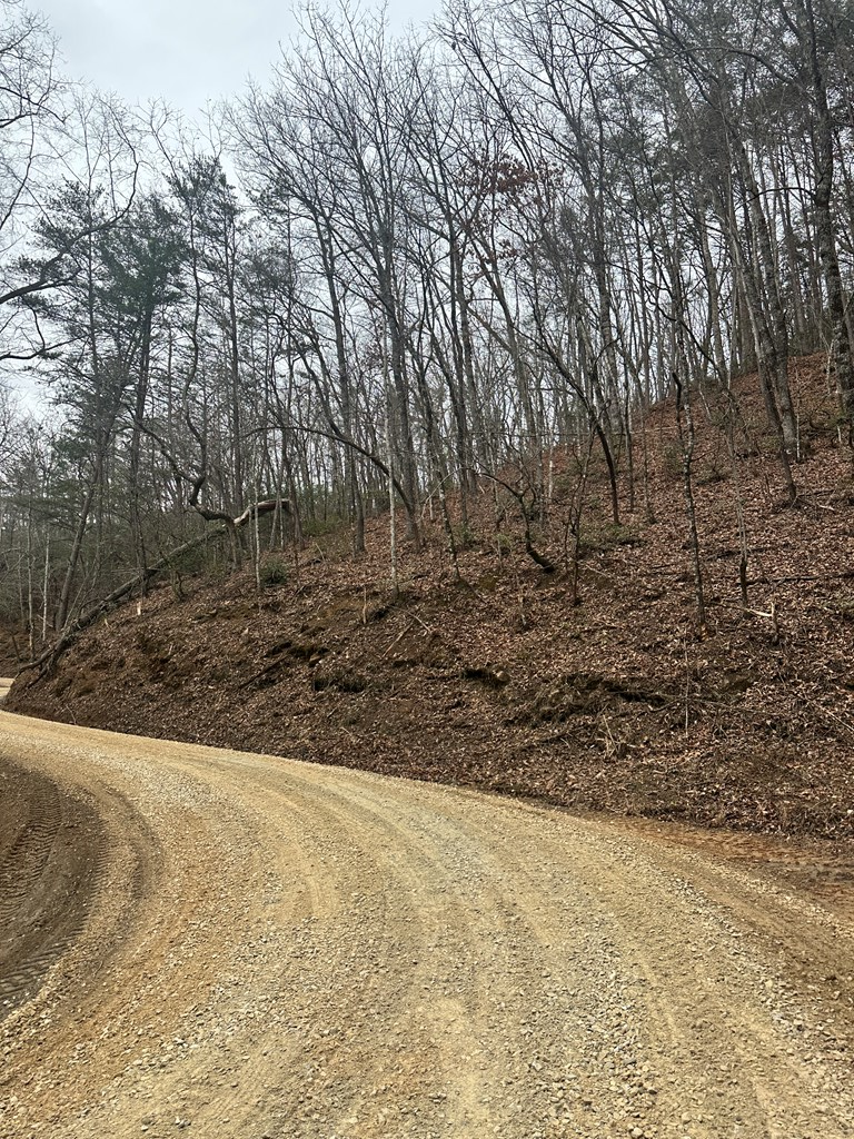 0 Tatham Gap Rd