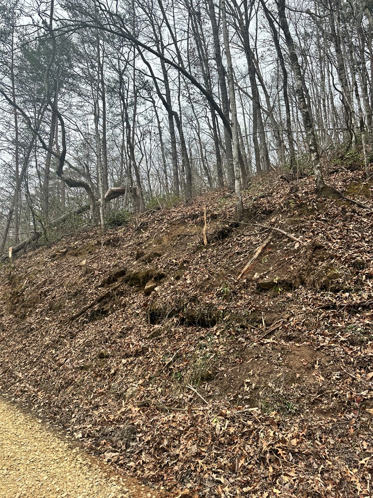 0 Tatham Gap Rd