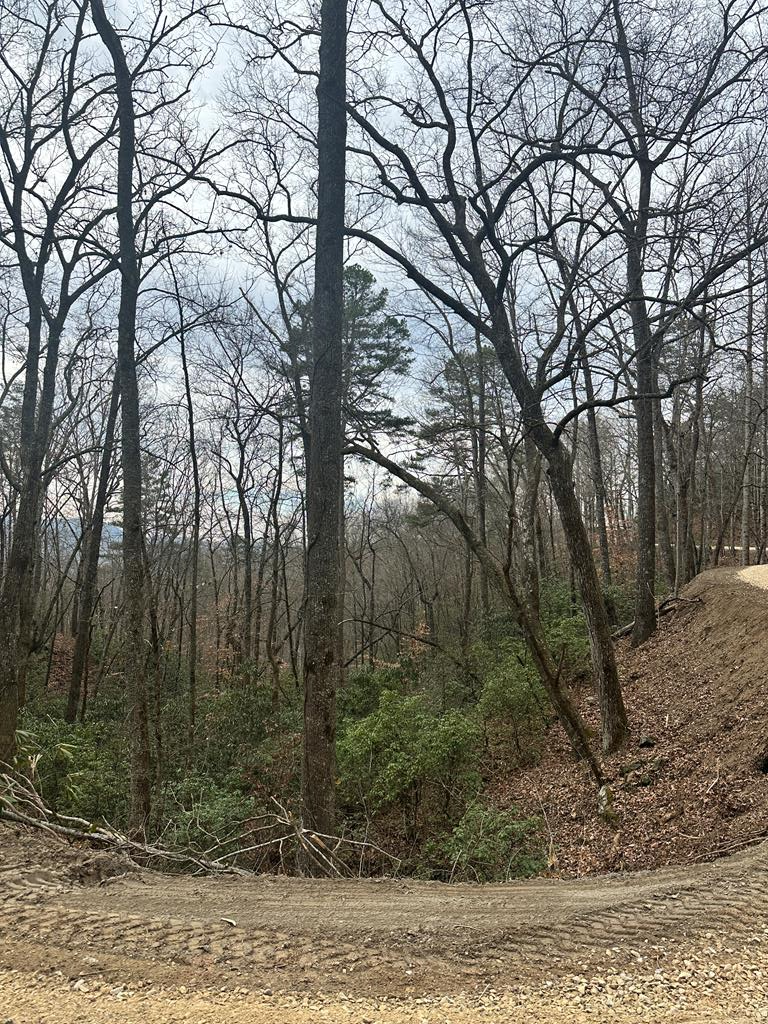 0 Tatham Gap Rd