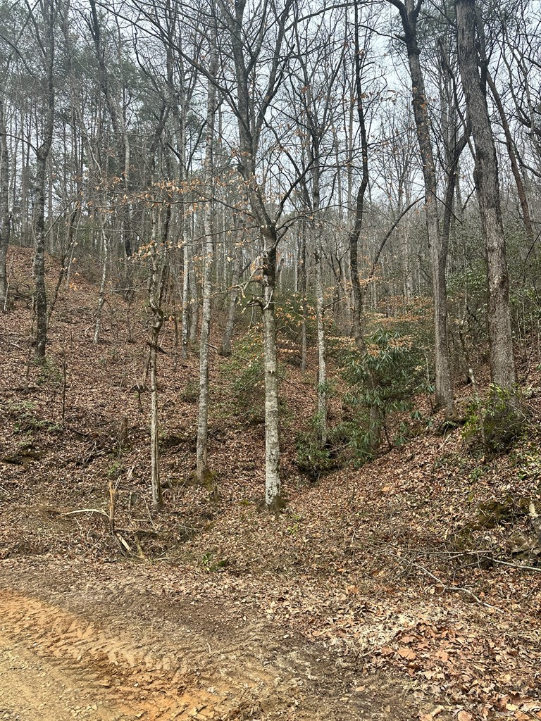 0 Tatham Gap Rd