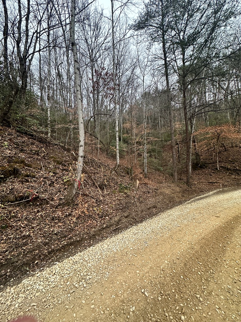0 Tatham Gap Rd