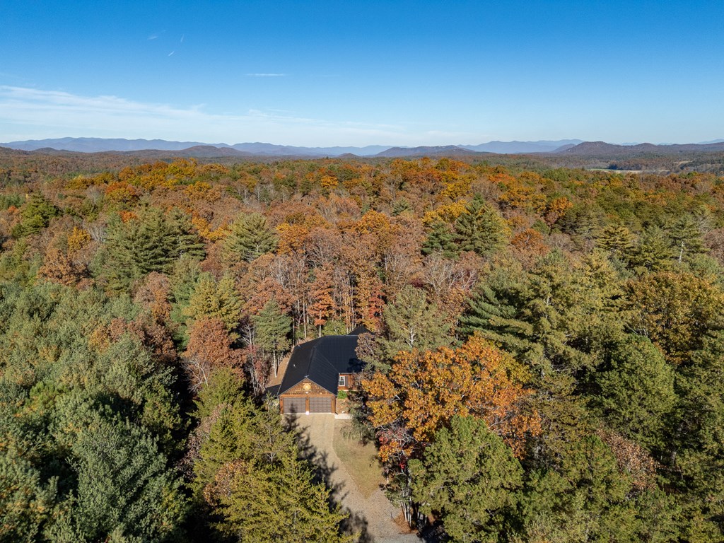 110 Rustic Pine Ridge