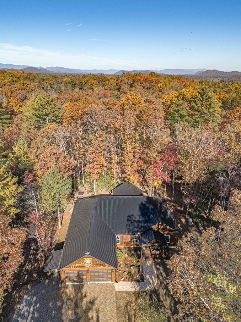 110 Rustic Pine Ridge