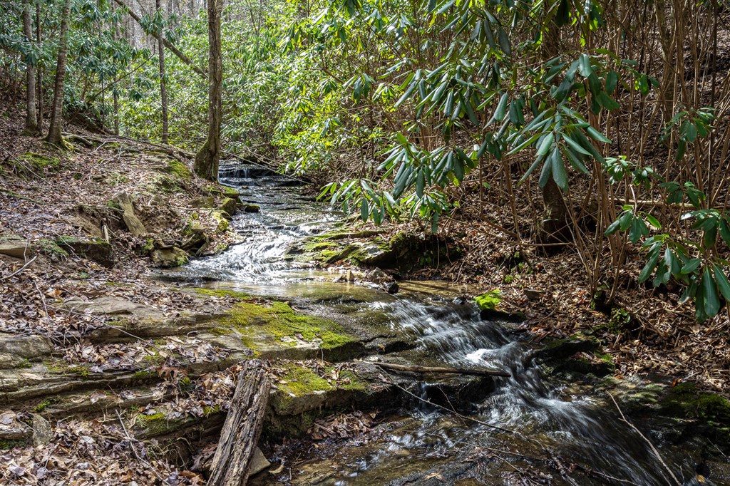 325 Trickling Branch Way