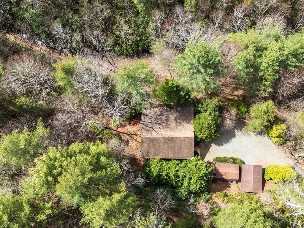 325 Trickling Branch Way