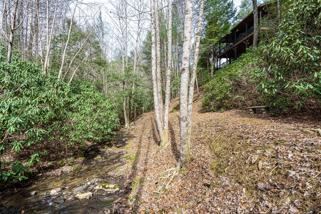 325 Trickling Branch Way