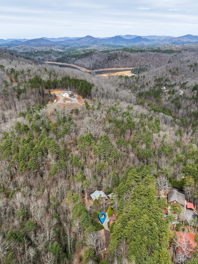 325 Trickling Branch Way