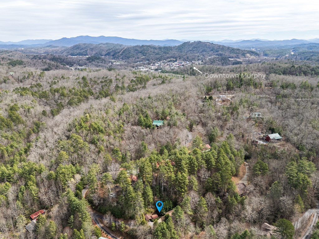 325 Trickling Branch Way