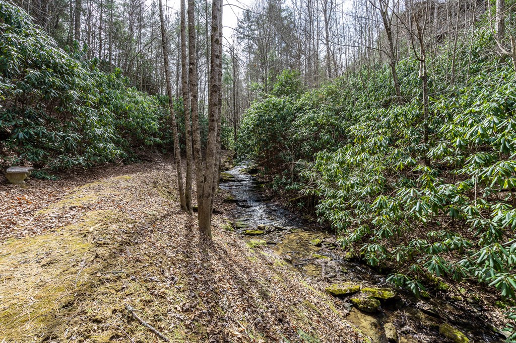 325 Trickling Branch Way