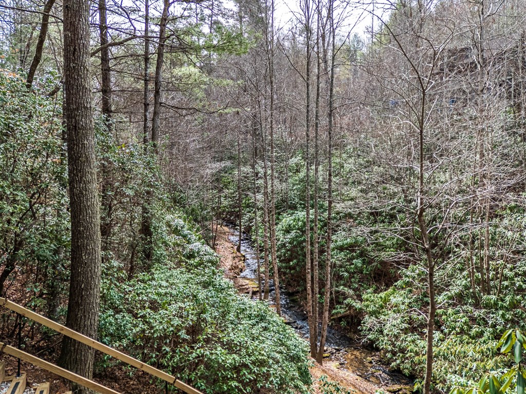 325 Trickling Branch Way