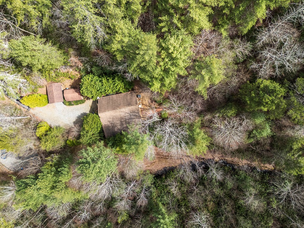 325 Trickling Branch Way