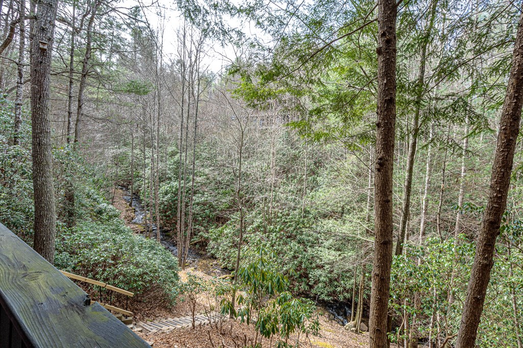 325 Trickling Branch Way