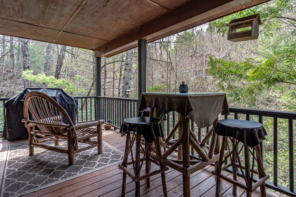 325 Trickling Branch Way