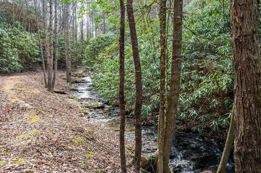 325 Trickling Branch Way