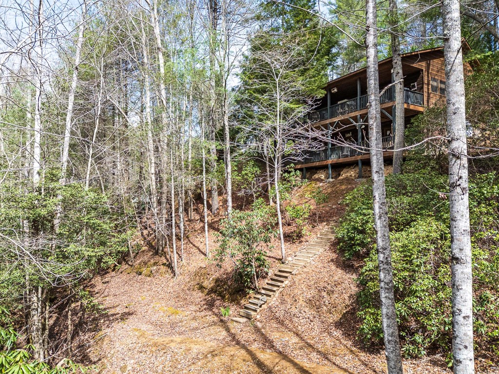 325 Trickling Branch Way