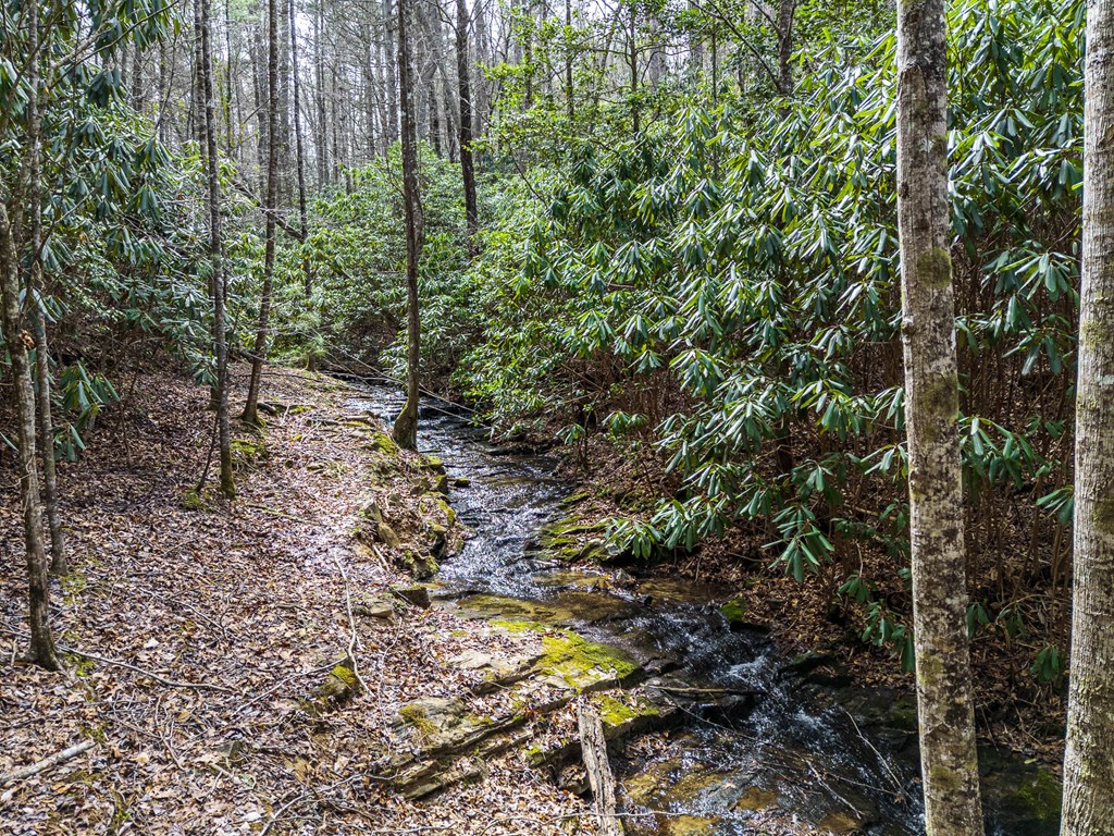 325 Trickling Branch Way