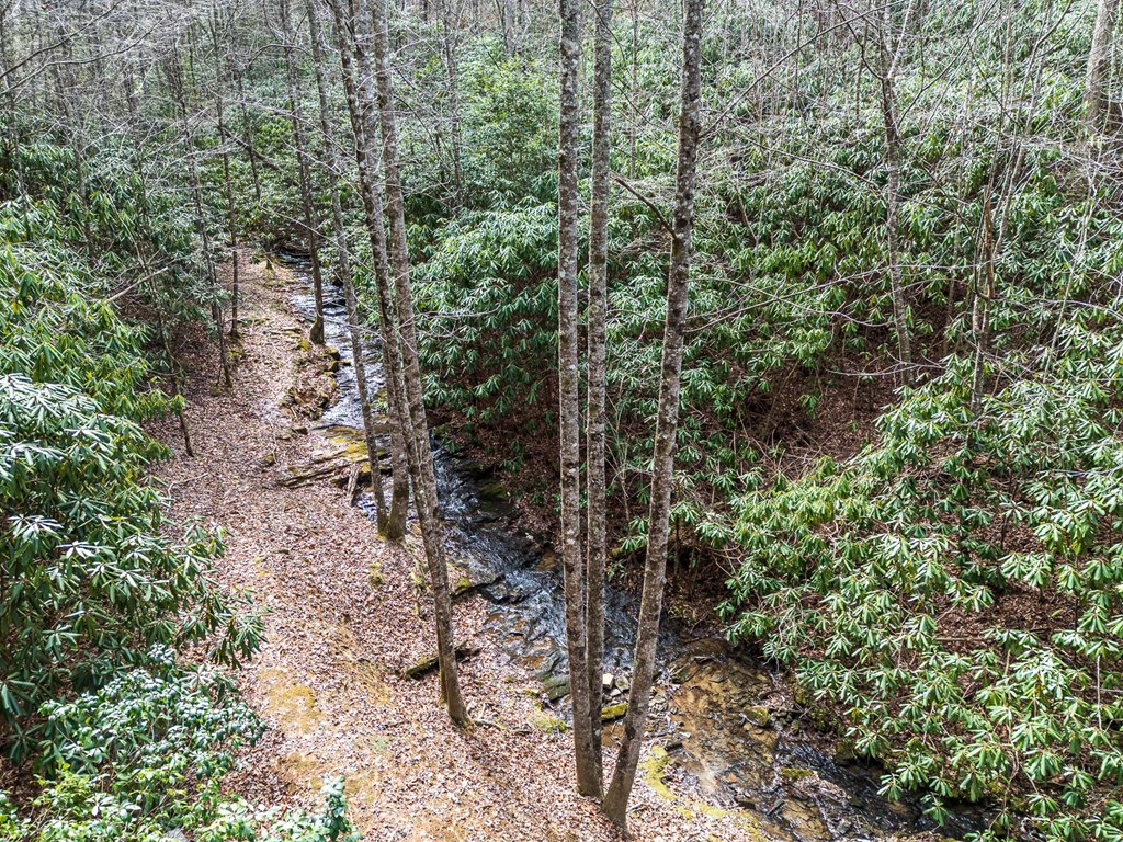 325 Trickling Branch Way