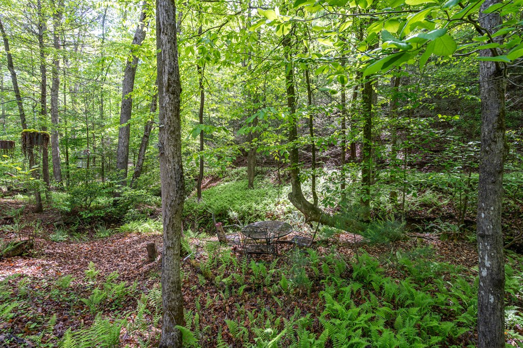 267 Laurelwood Cir