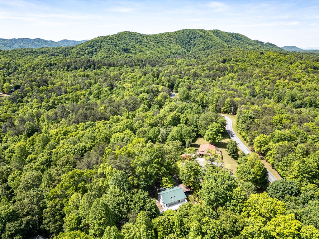 71 Mountain Laurel Rd