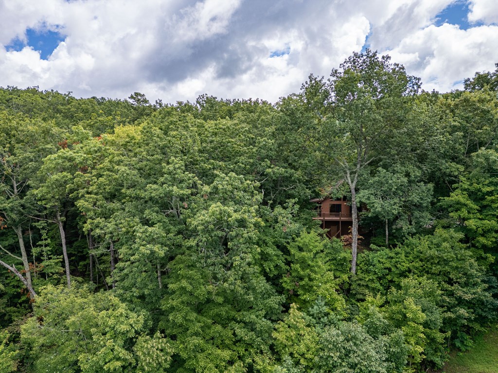 425 Boyd Ridge
