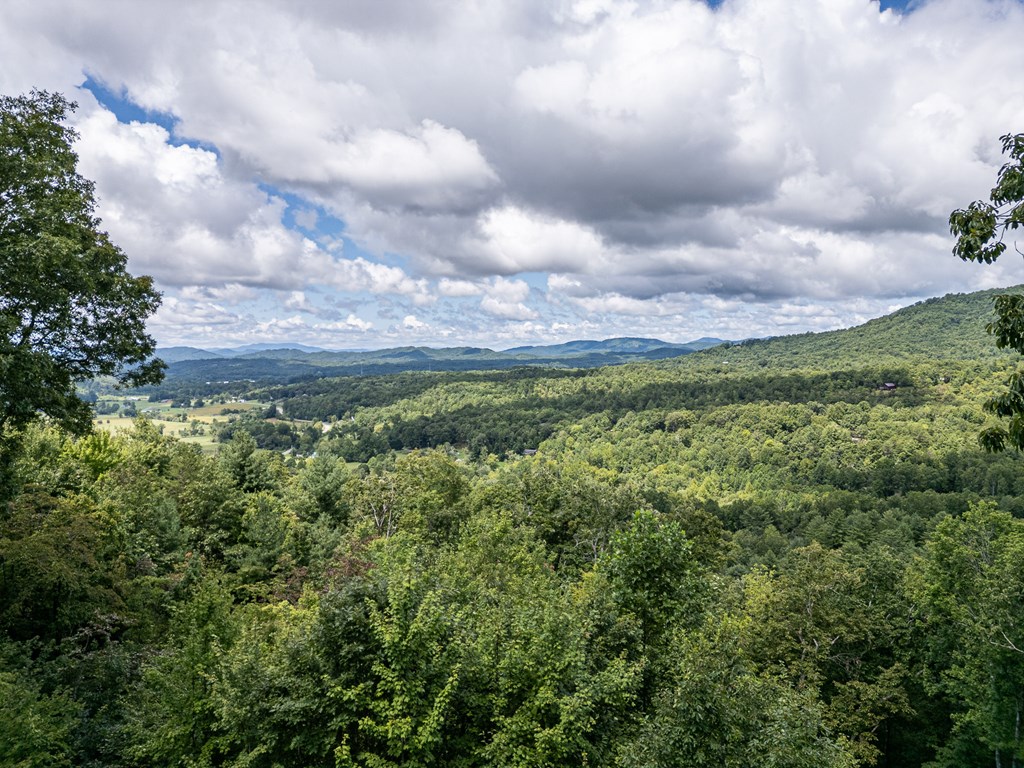 425 Boyd Ridge