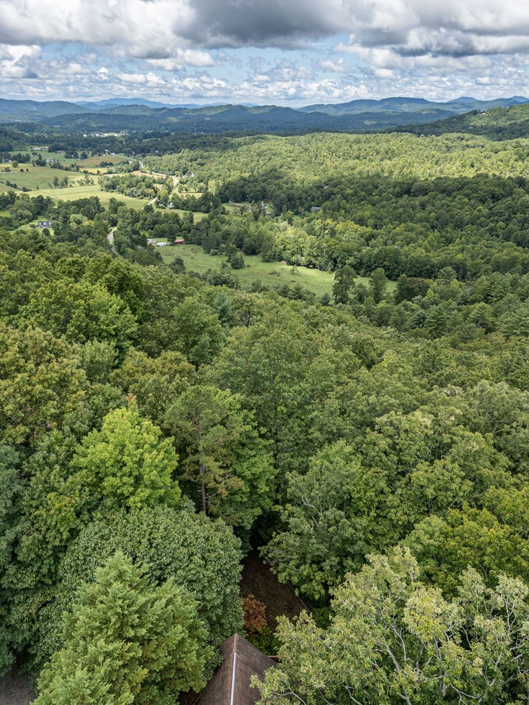 425 Boyd Ridge