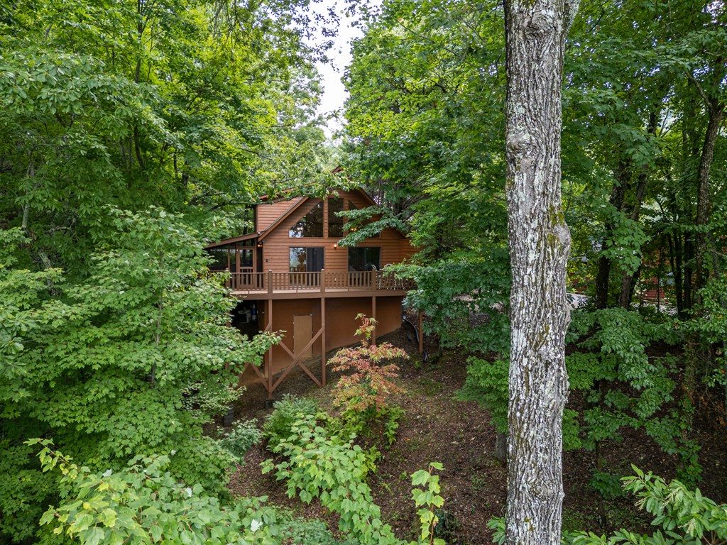 425 Boyd Ridge