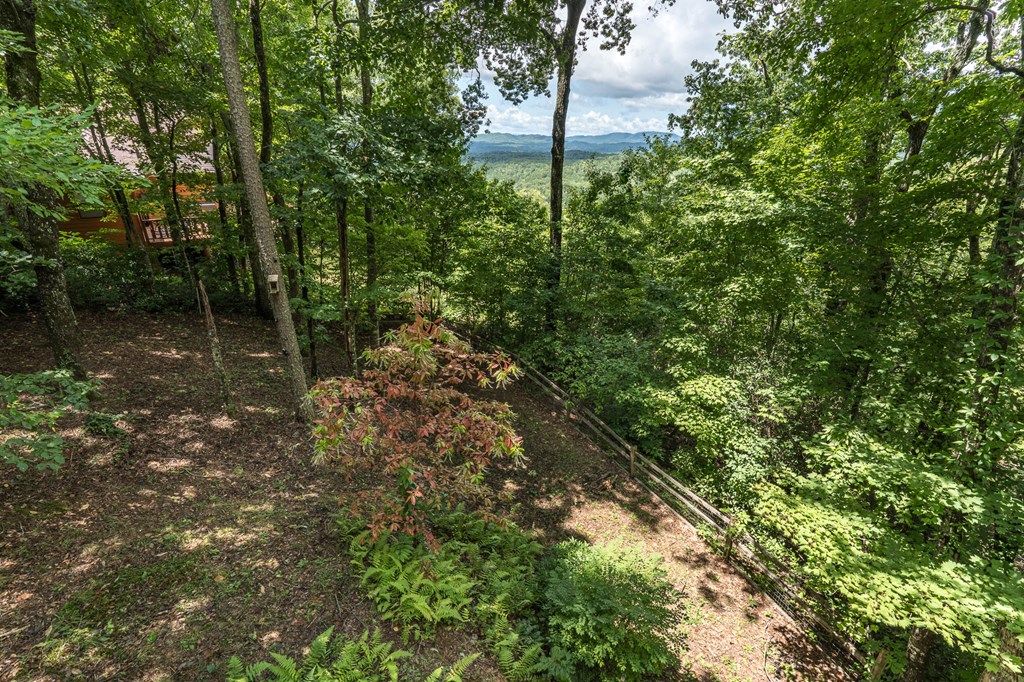 425 Boyd Ridge