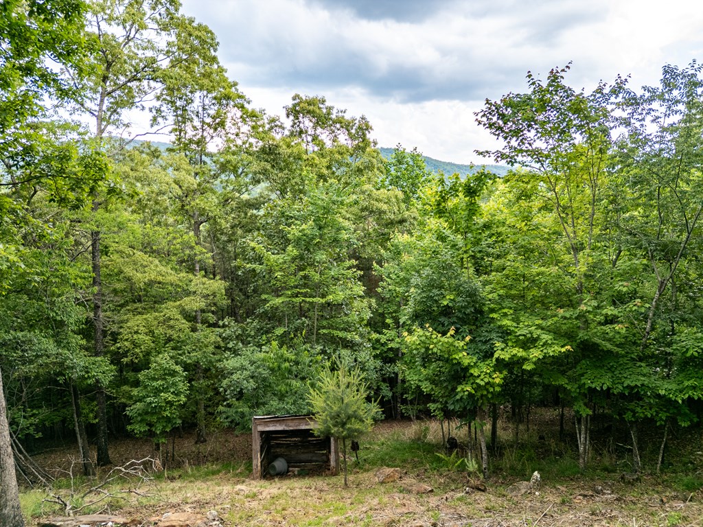 104 Hickory Nut Lane