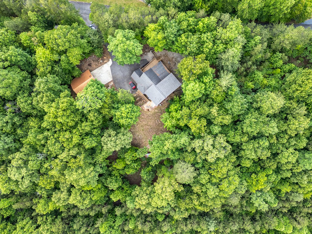104 Hickory Nut Lane