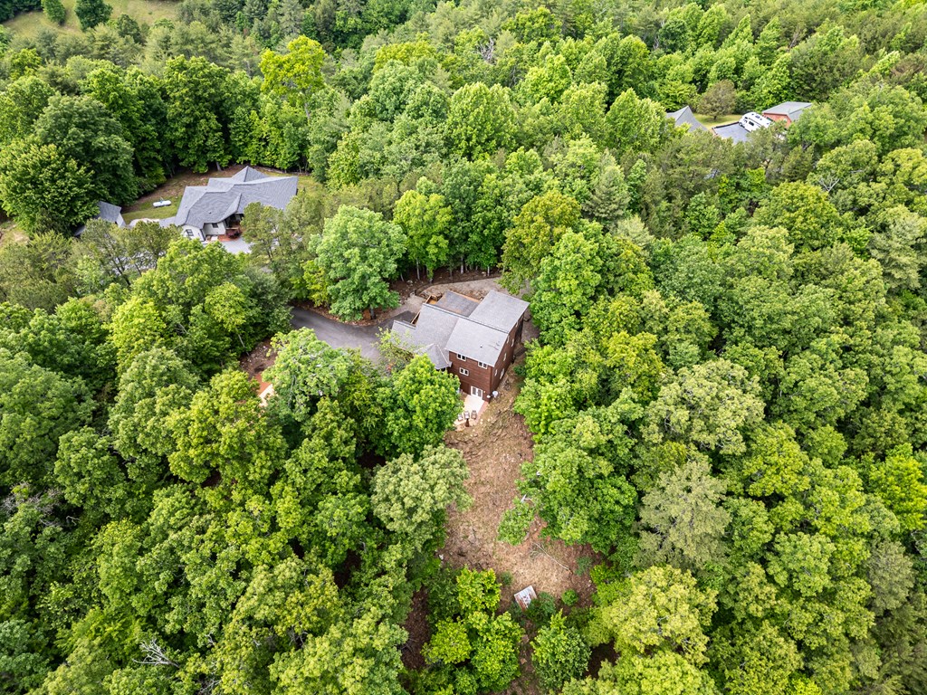 104 Hickory Nut Lane