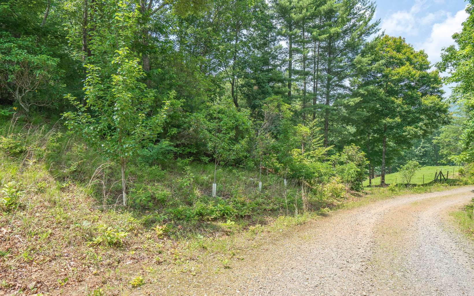 2923 Upper Peachtree Road