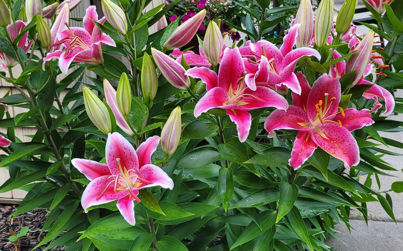 2923 Upper Peachtree Road