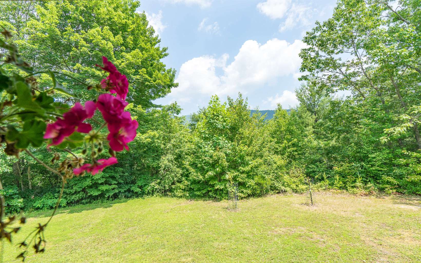 2923 Upper Peachtree Road